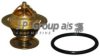 VAG 056121113AS Thermostat, coolant